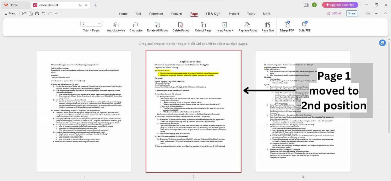 Páginas reorganizadas em documento PDF