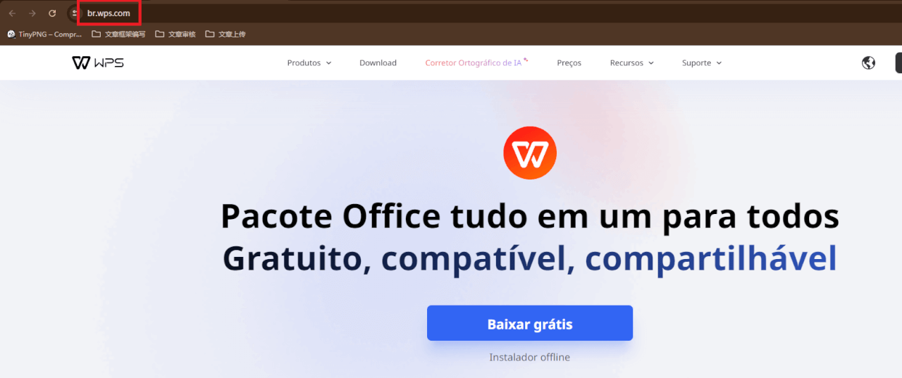 site do Apresentação do WPS Office