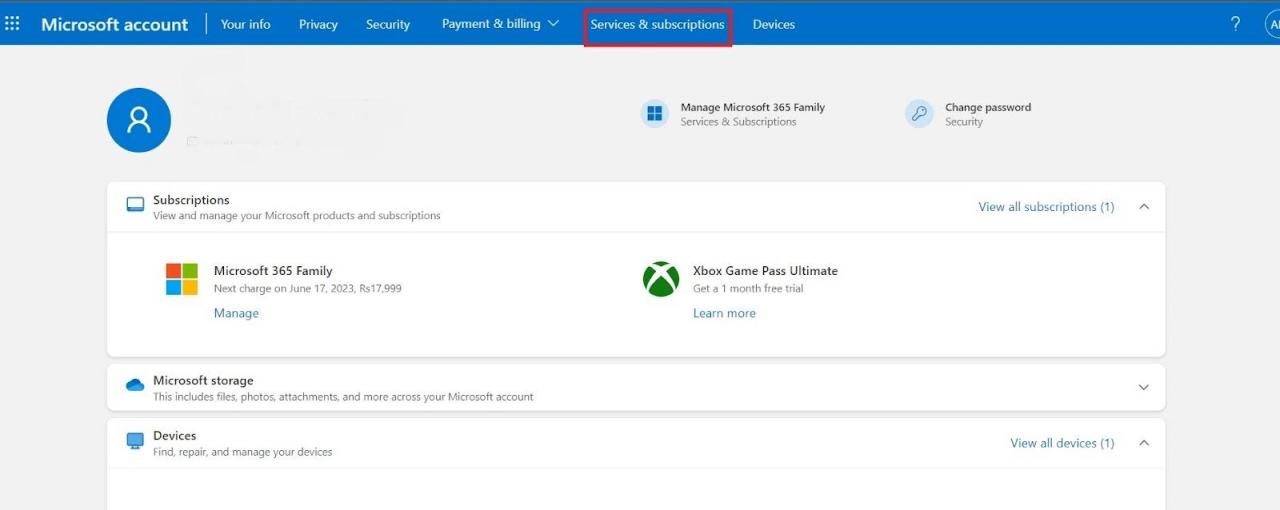 Pestaña de Servicios y Suscripciones