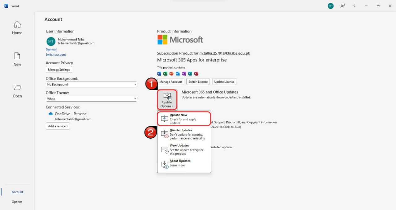 Microsoft Office Güncelleme seçenekleri