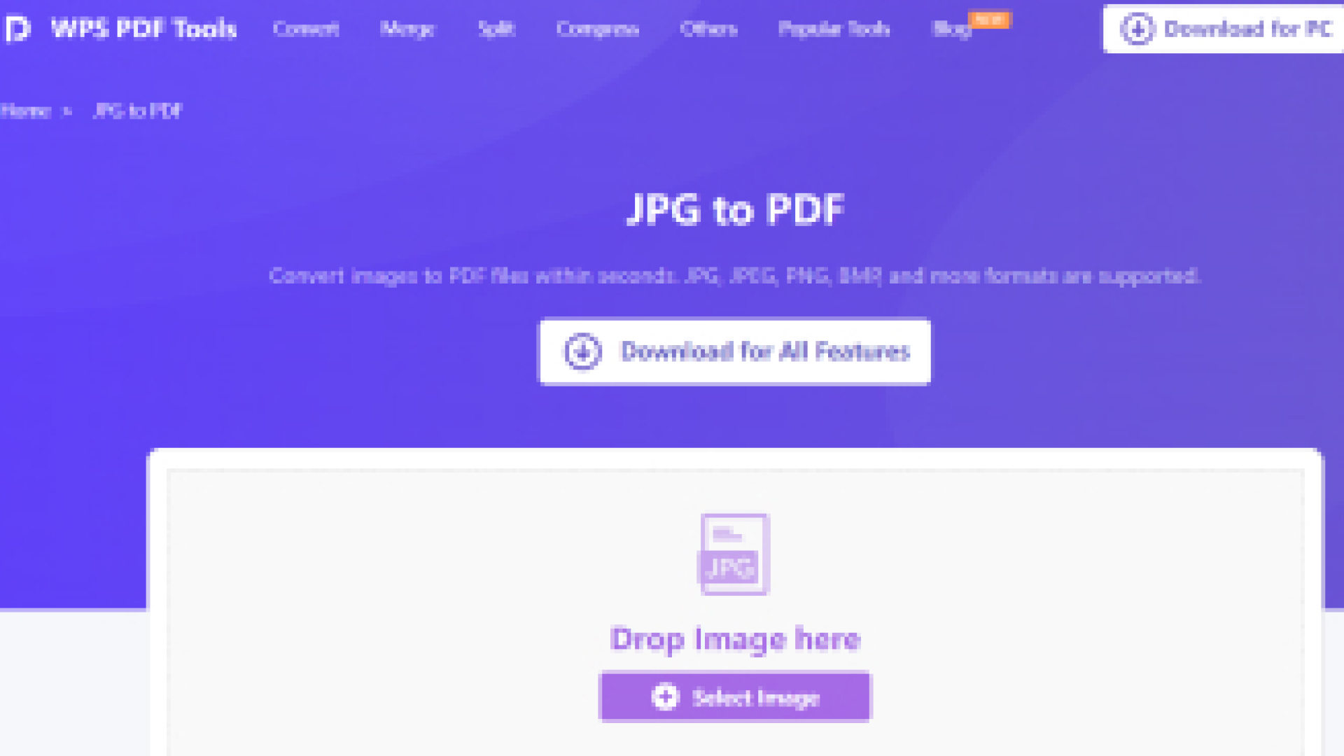 JPG to PDF Editor for Windows