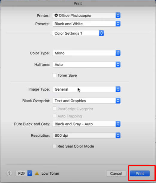 Print Preview and Print