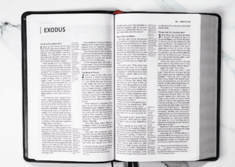 How to Login Scrivener in Easy Steps