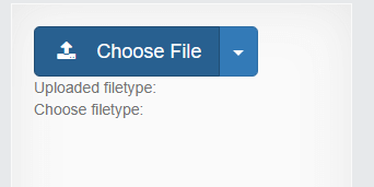 Choose File button