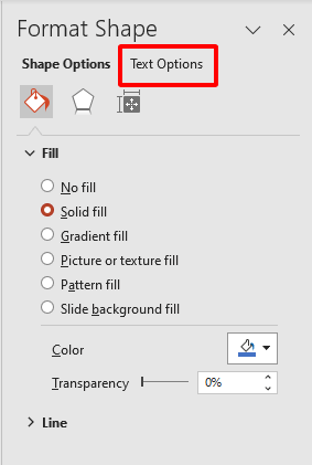 the Text Options tab