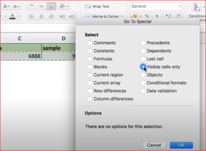 Select ‘Visible cells only’