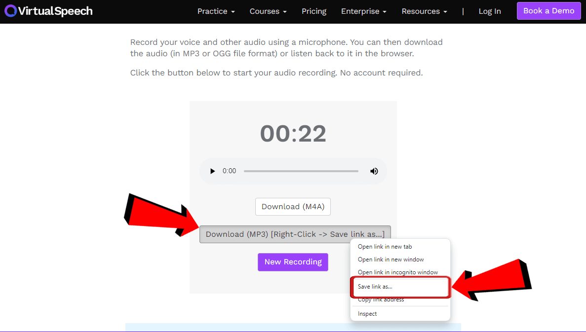 VirtualSpeech download MP3