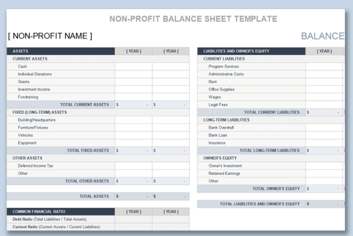 Non Profit Balance Sheet Statement template