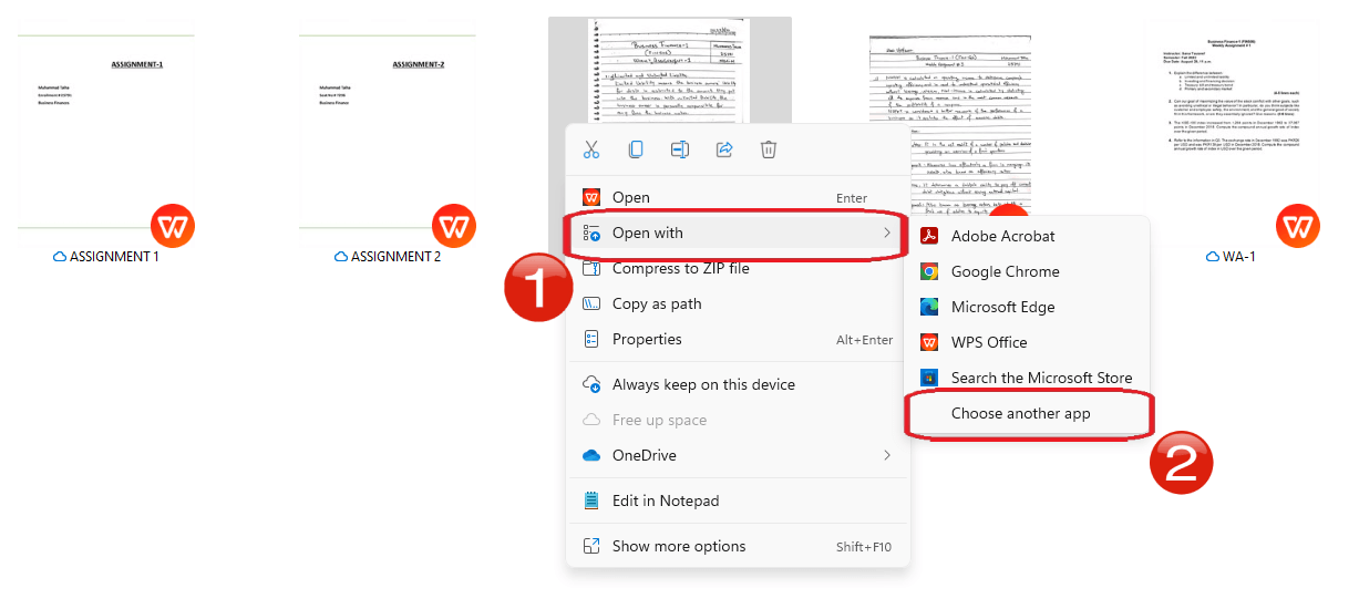 Open PDF on your system