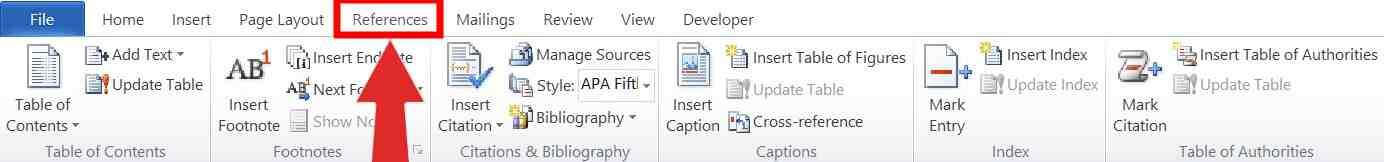Microsoft Word Reference tab