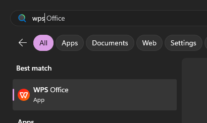 WPS Office on computer