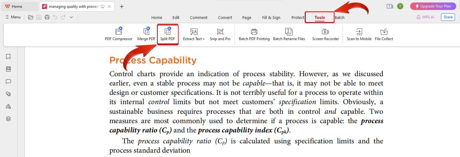 WPS Split PDF Tool