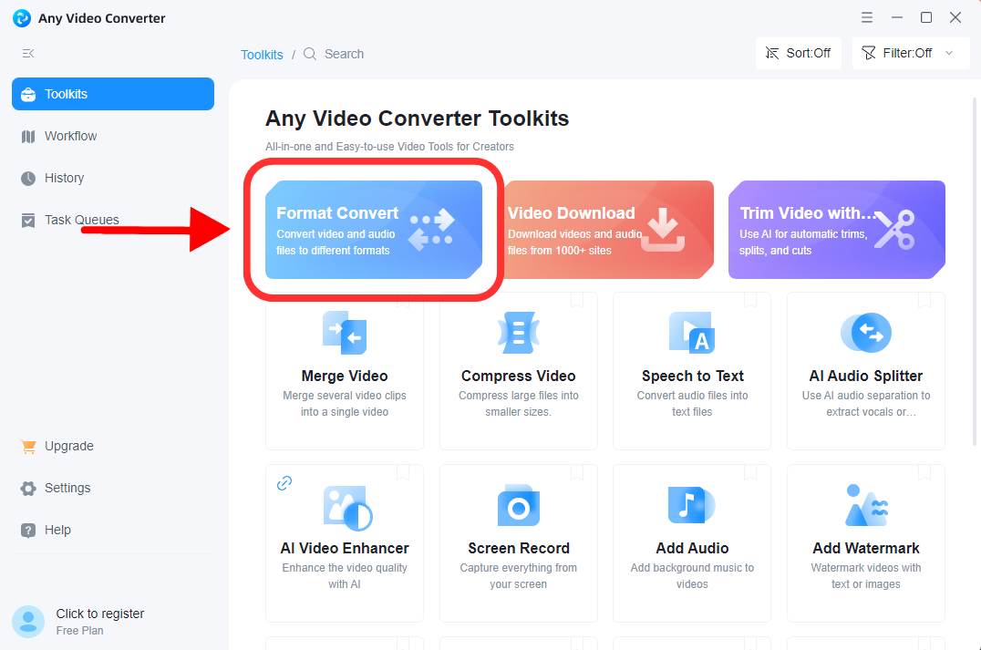 Any Video Converter Format Convert option