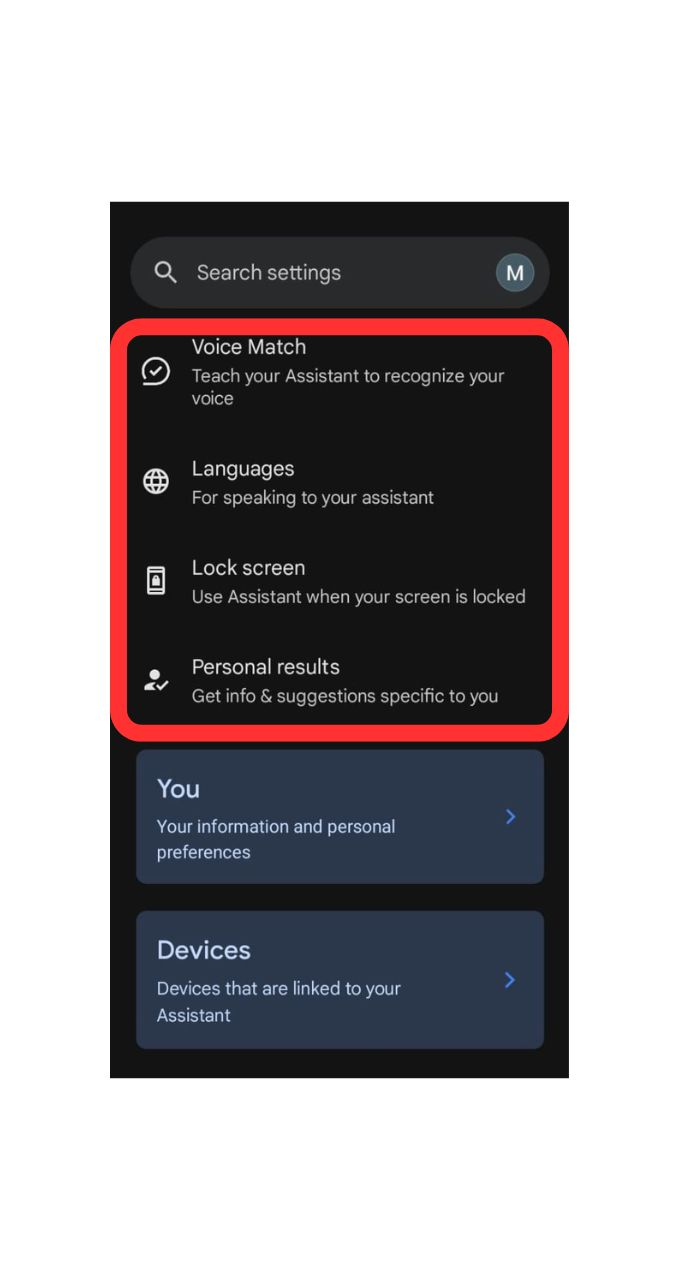 Google Assistant settings