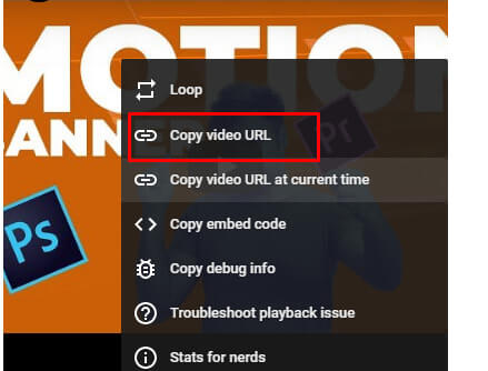 Copy video URL option
