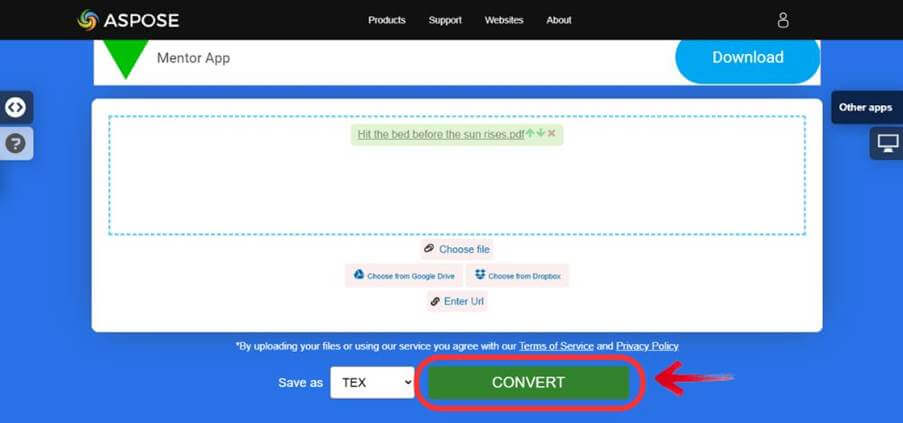 Appose Convert a PDF File