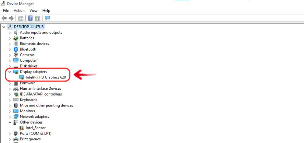 Choose Display Adapters