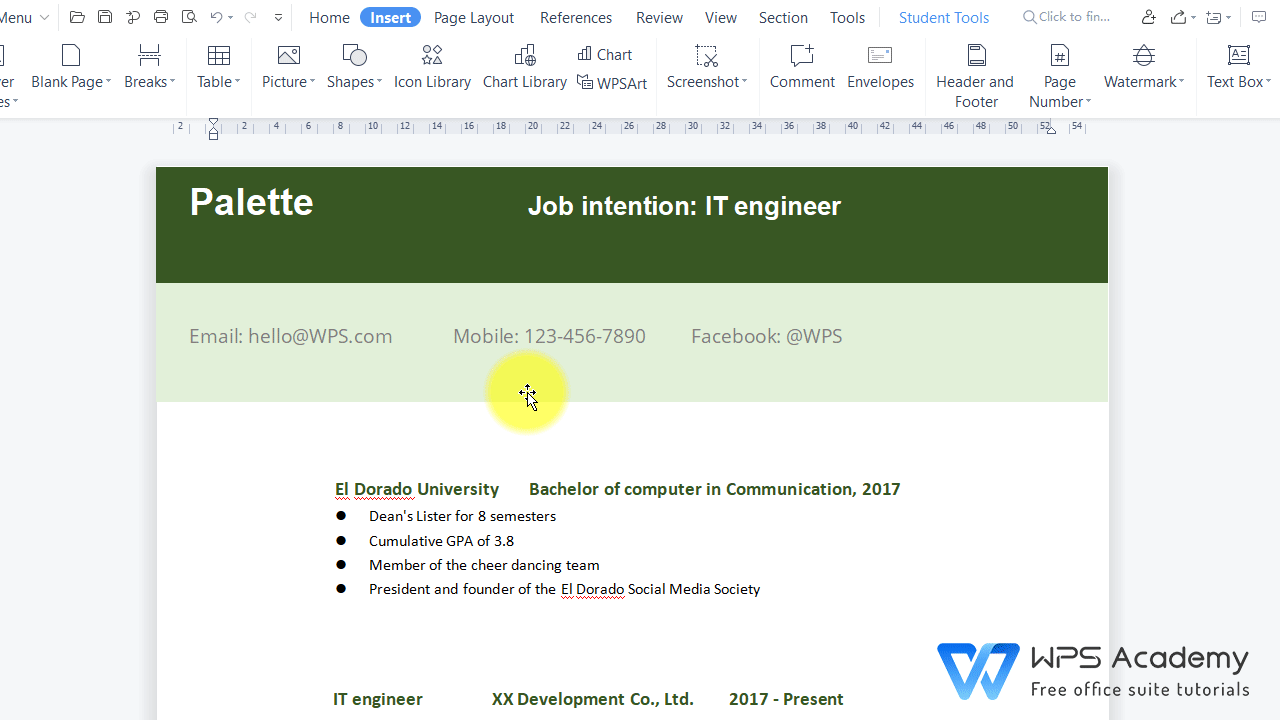 How to create a resume without a template in WPS Office Word WPS