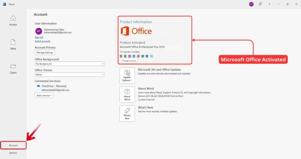 Office 사용자 지정 도구로 활성화된 Office Professional Plus 2019