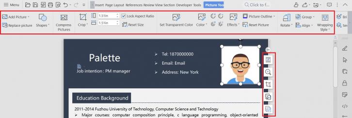  Image editing in WPS