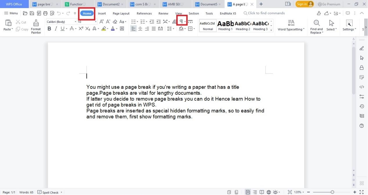 How to get rid of page breaks in the WPS office | WPS Office Academy