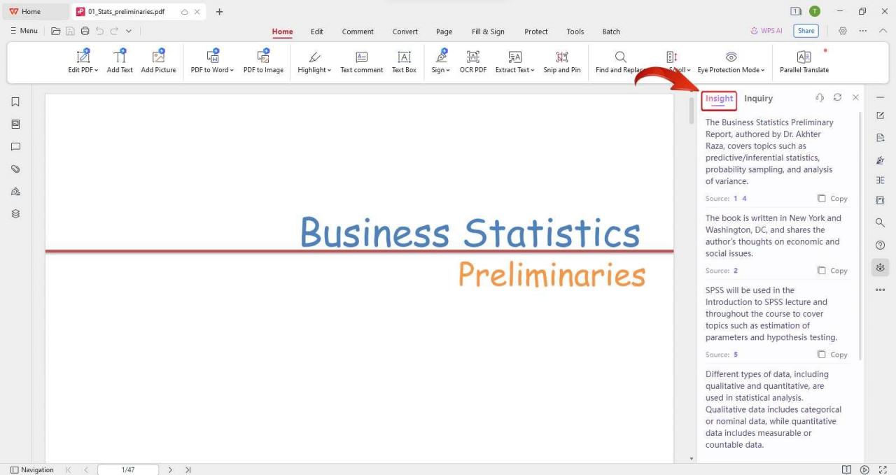 Insights do WPS AI PDF