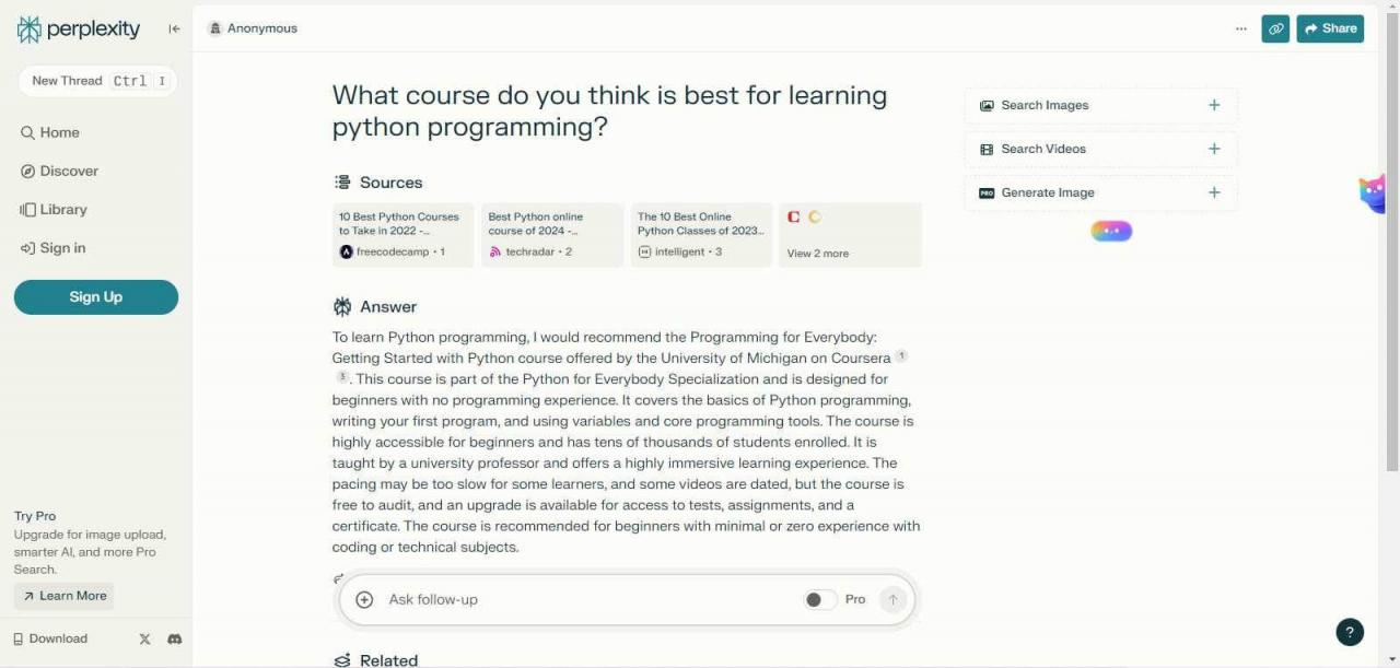 Interagindo com a interface do Perplexity AI Writer
