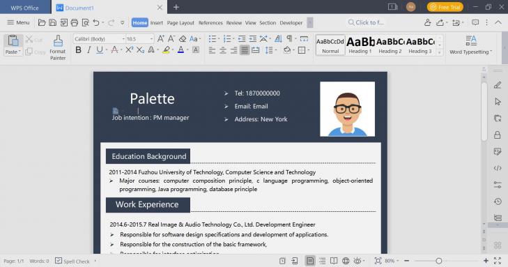 Use the template to create a CV