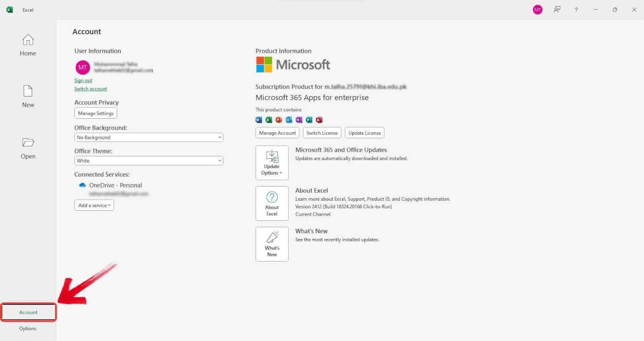 Apri la scheda Account in Microsoft Excel
