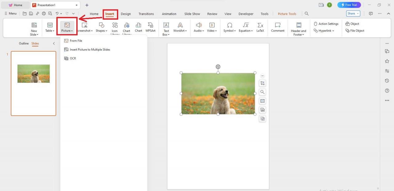 WPS Office insert images