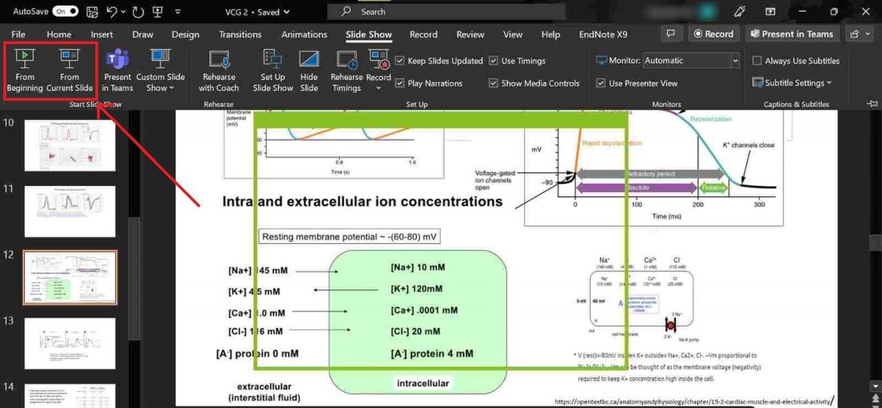 PowerPoint start slideshow