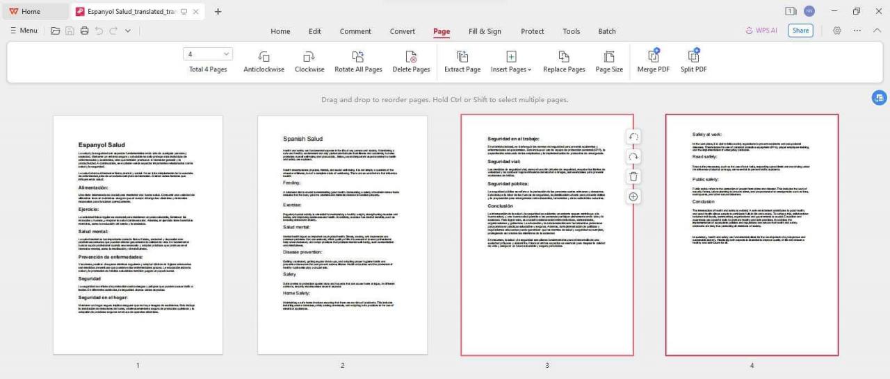 Versão bilíngue em PDF