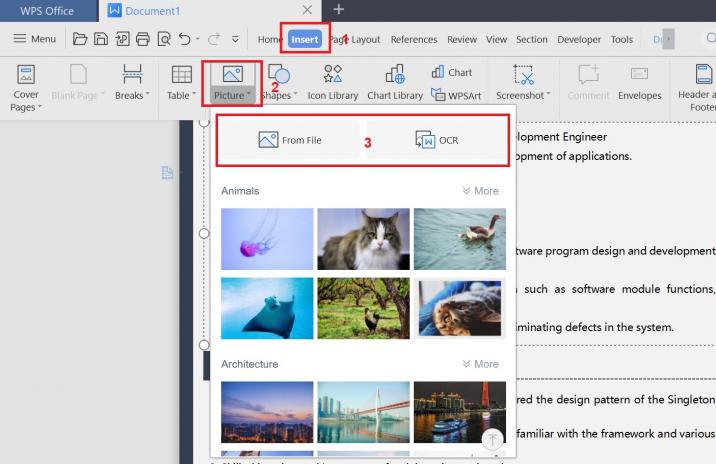  Inserting images in WPS
