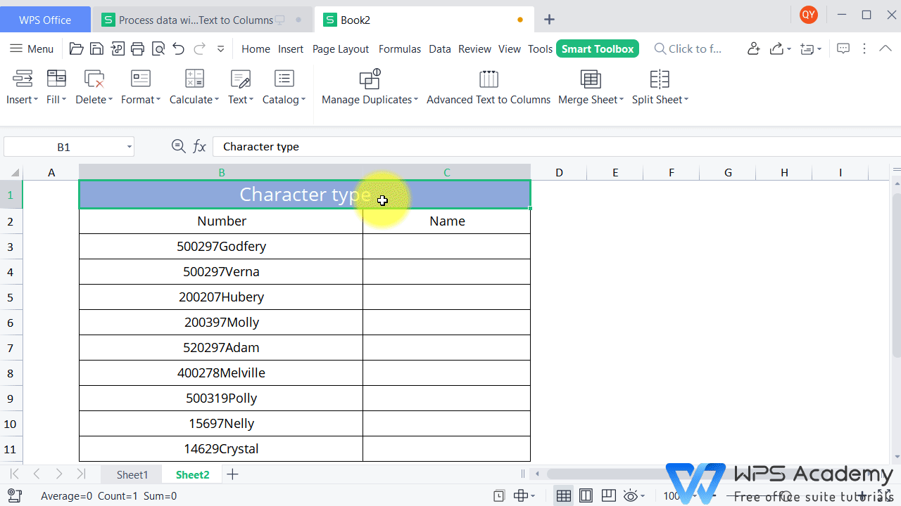 smart-toolbox-advanced-text-to-column-wps-office-academy