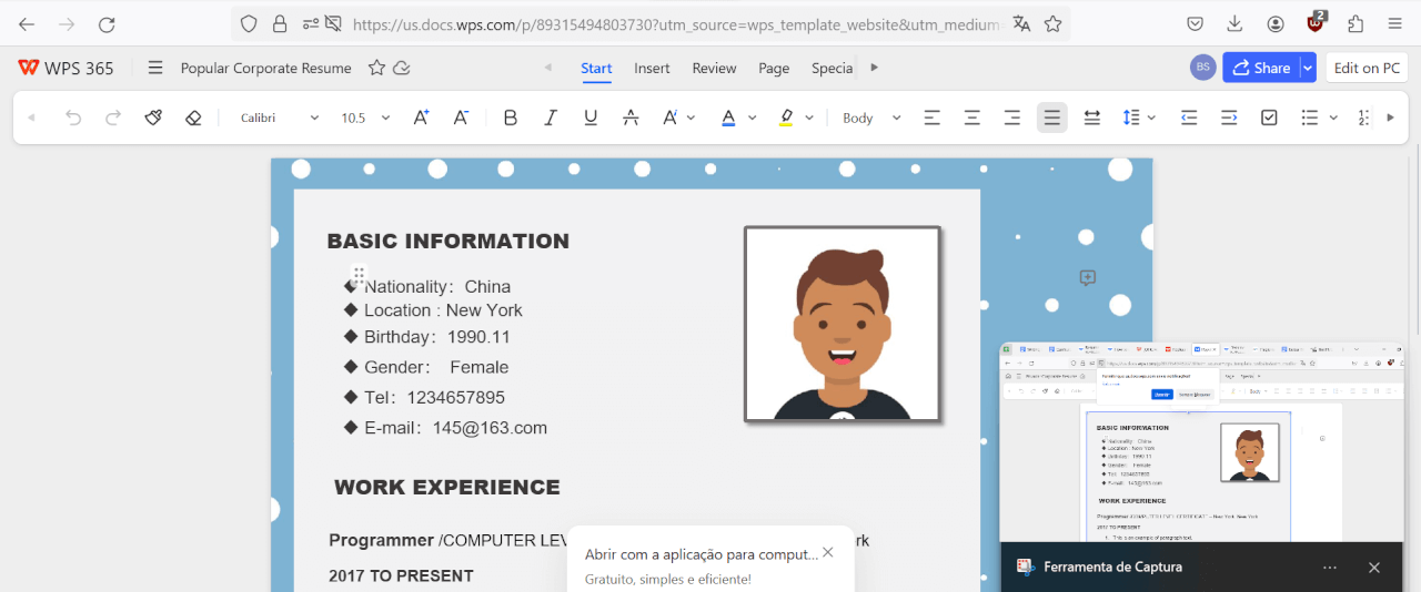  edição de currículo no WPS online