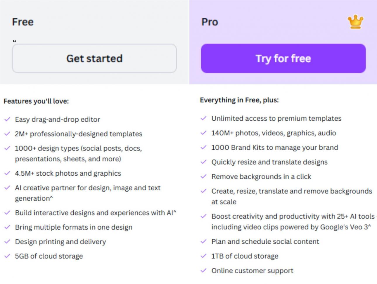 Canva Pro Subscription