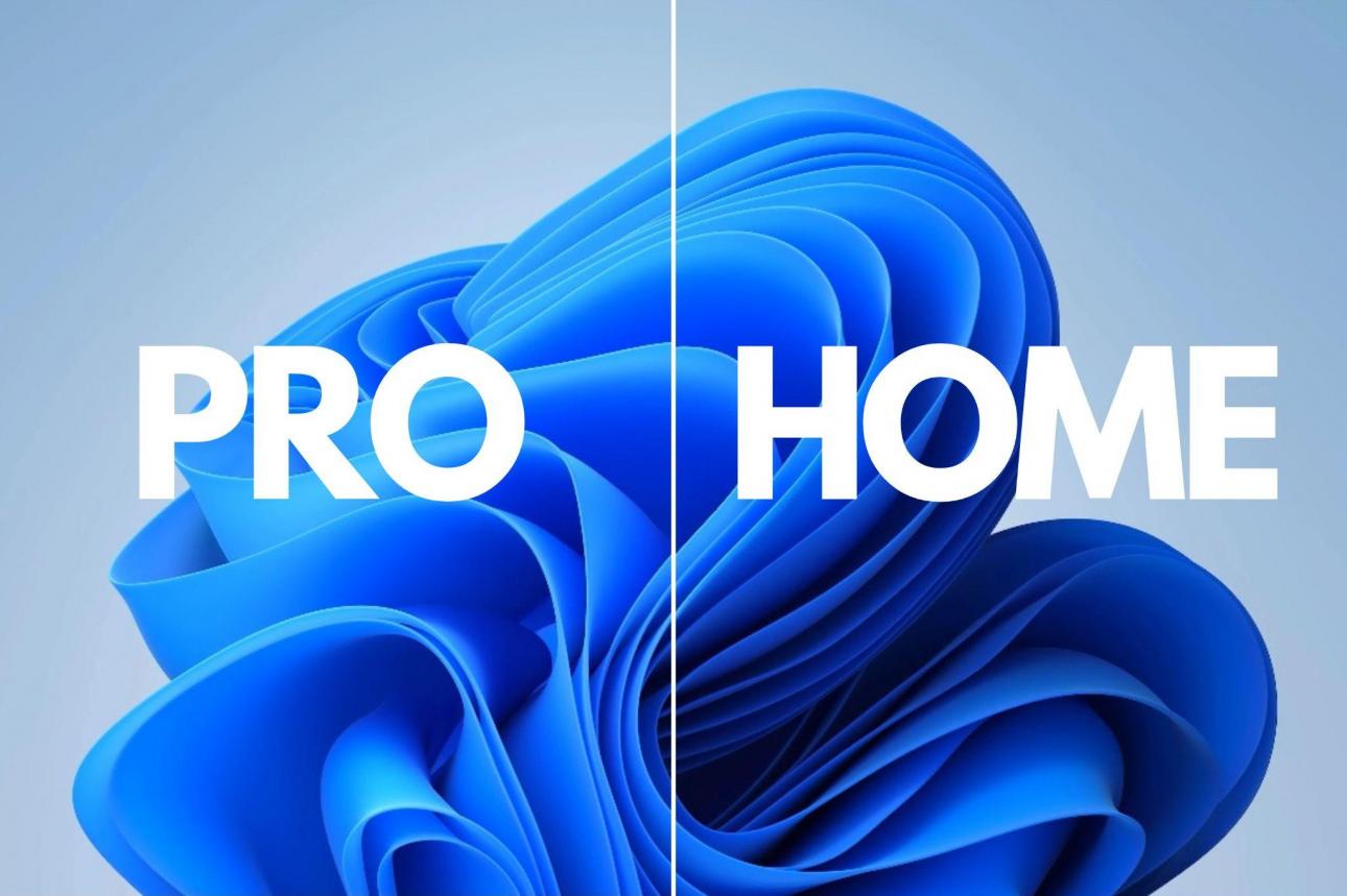 Windows 11 Pro or Home
