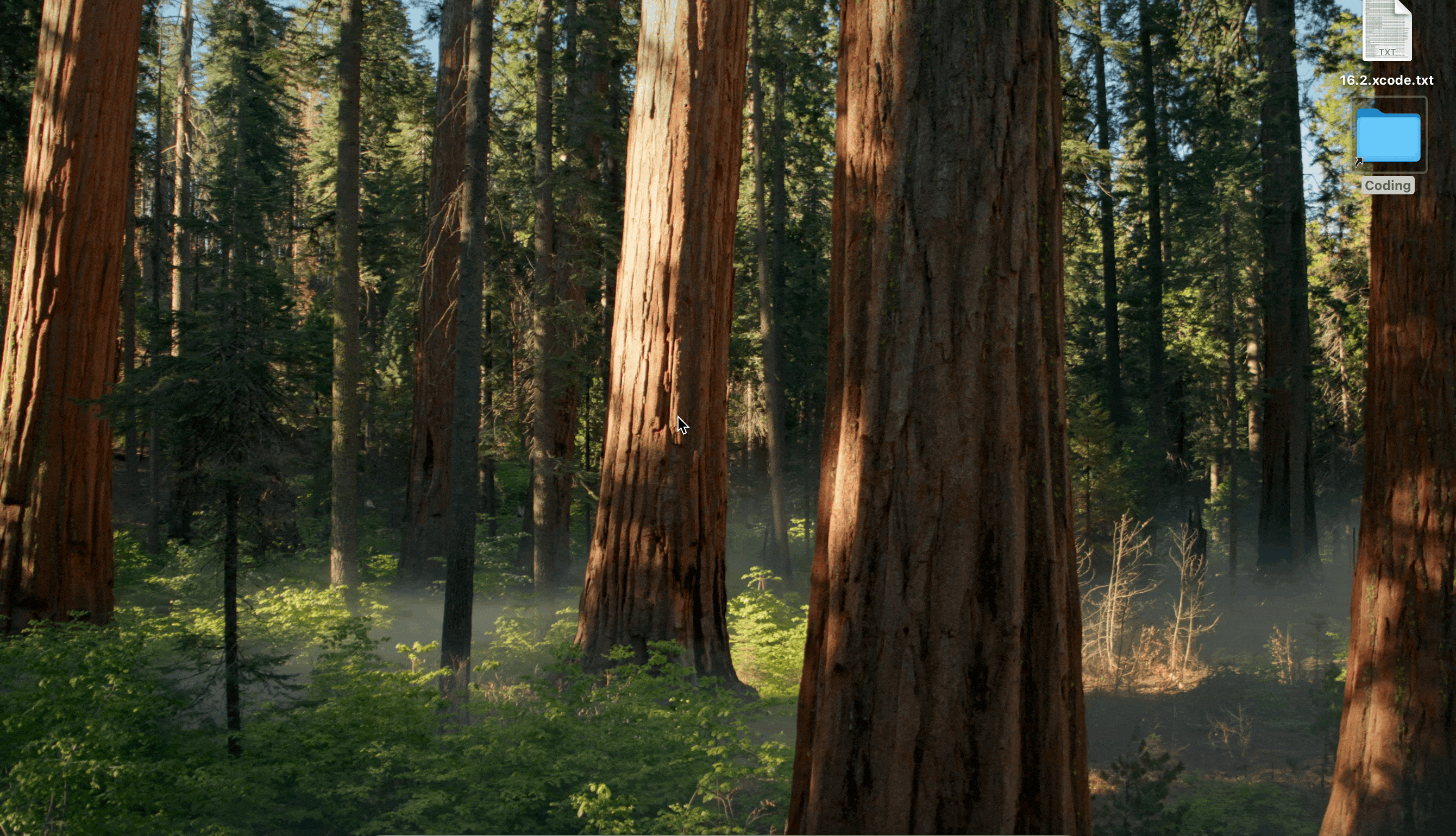 fix crashes on macOS 