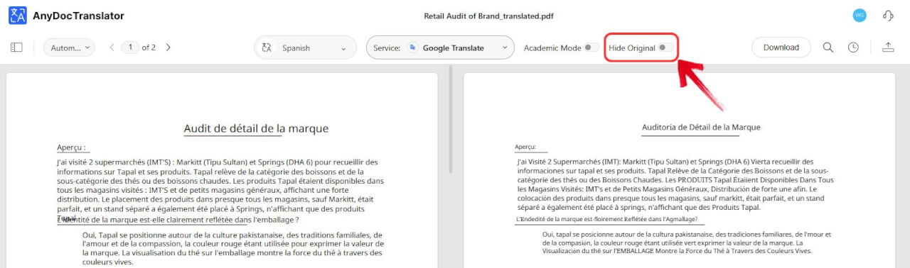 AnyDoc Translator Single Language Mode