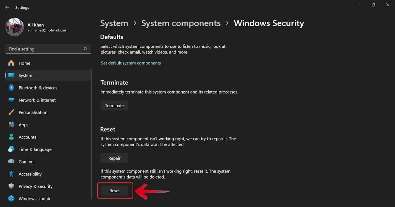 Reset Windows Security