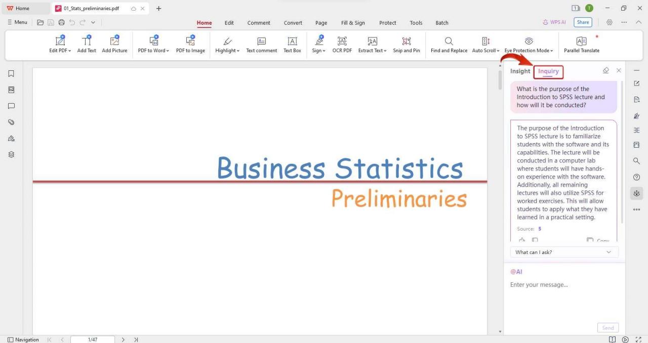 Perguntas do WPS AI PDF