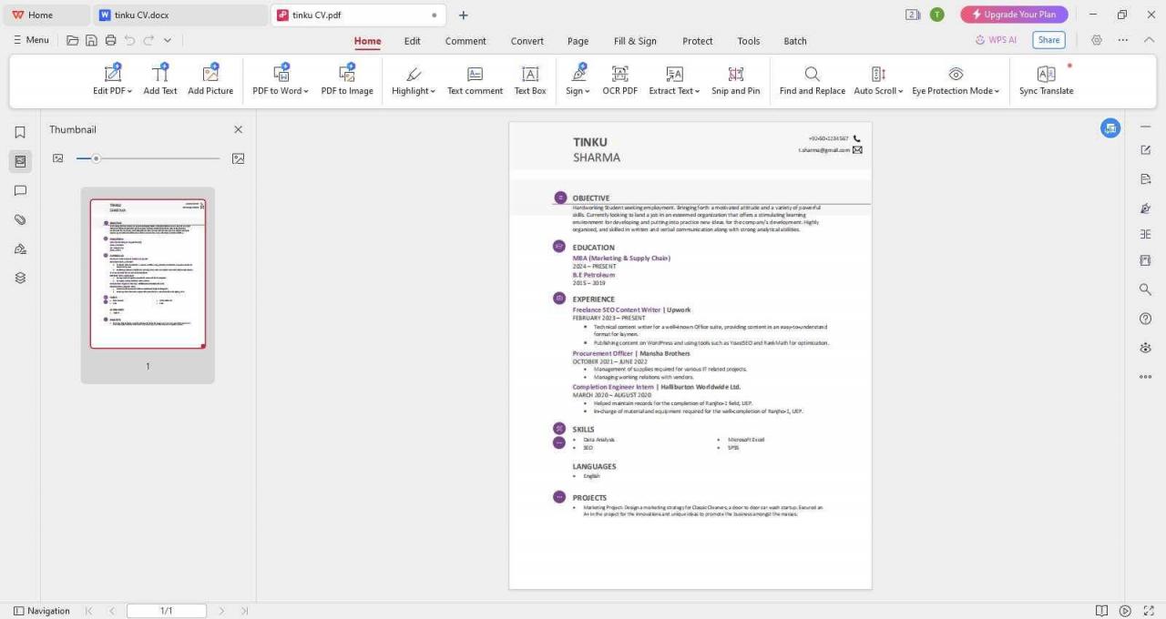 Currículo convertido para PDF usando o Escritor do WPS
