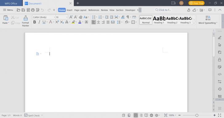 WPS Writer interface