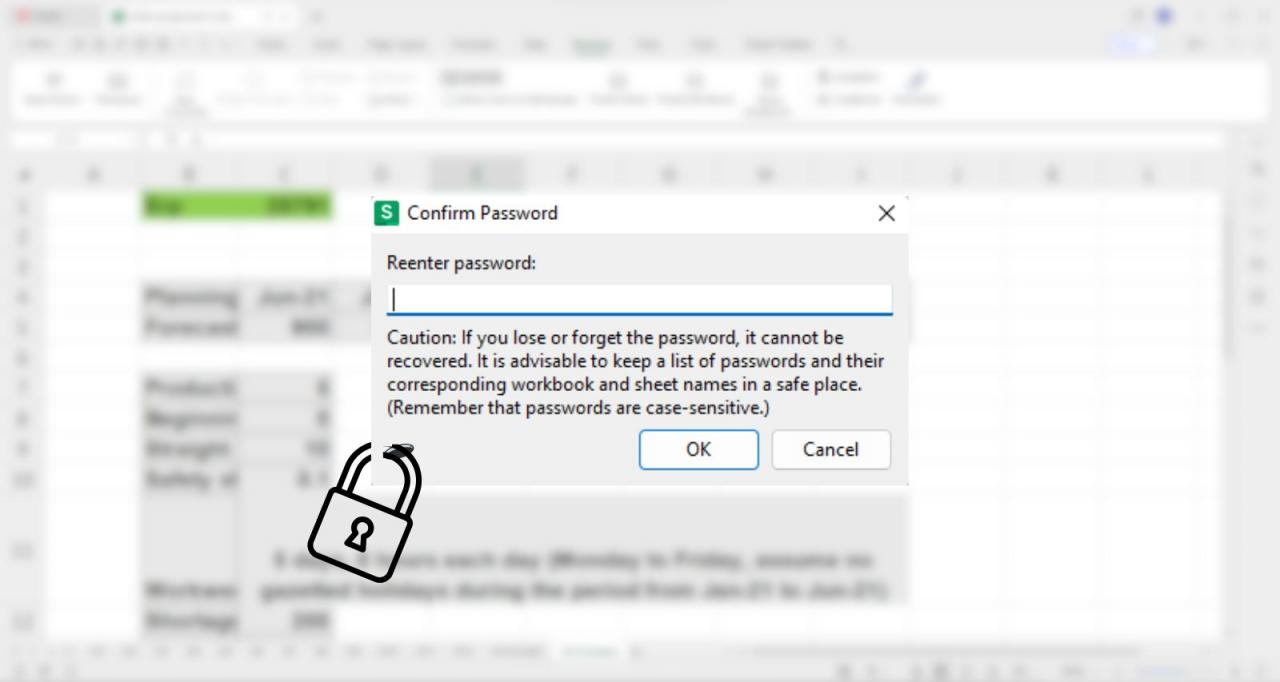 WPS Spreadsheet Protection
