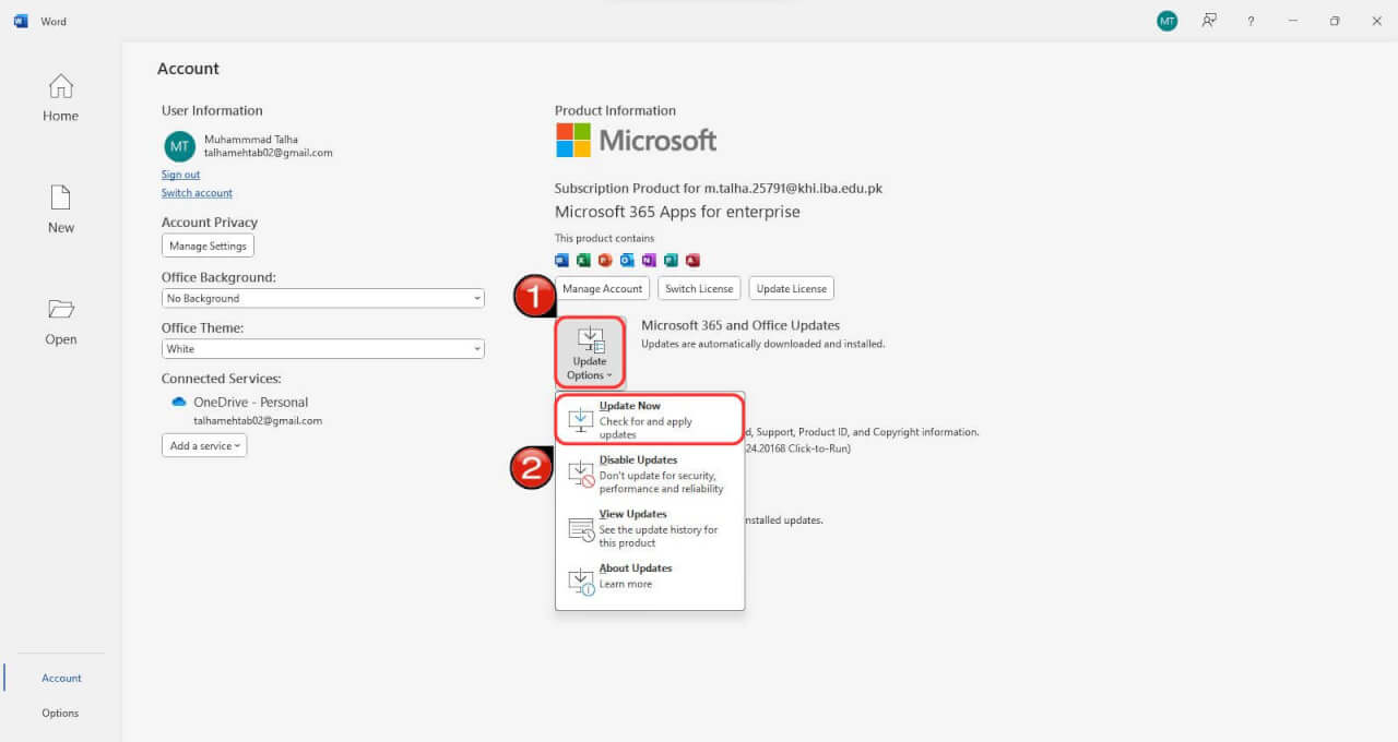 Microsoft Office 更新選項