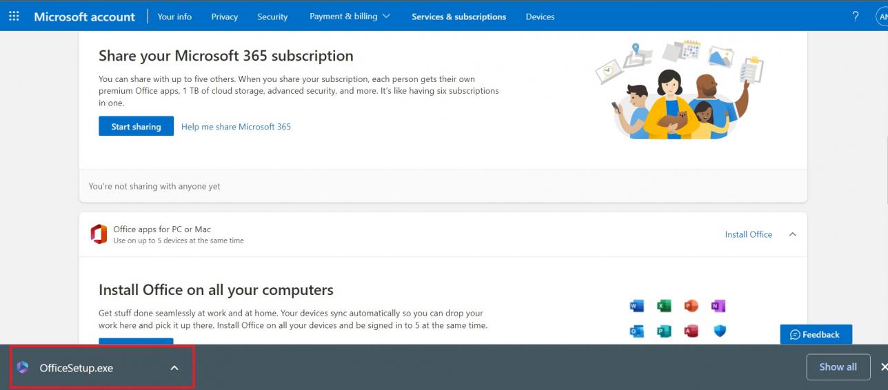 Fai clic sul pulsante Installa