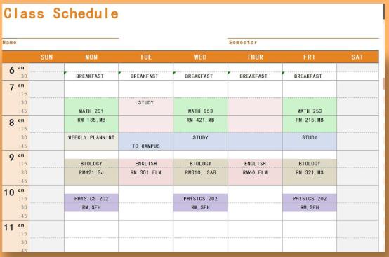 Top 10 Daily schedule template Excel free download 2022 | WPS Office Academy