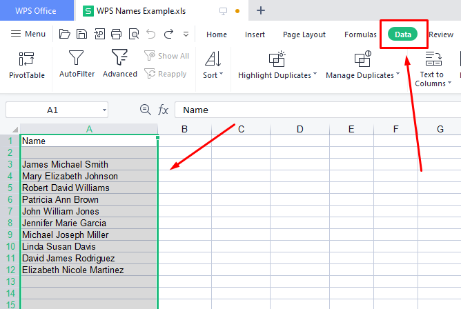 WPS data tab WPS data tab