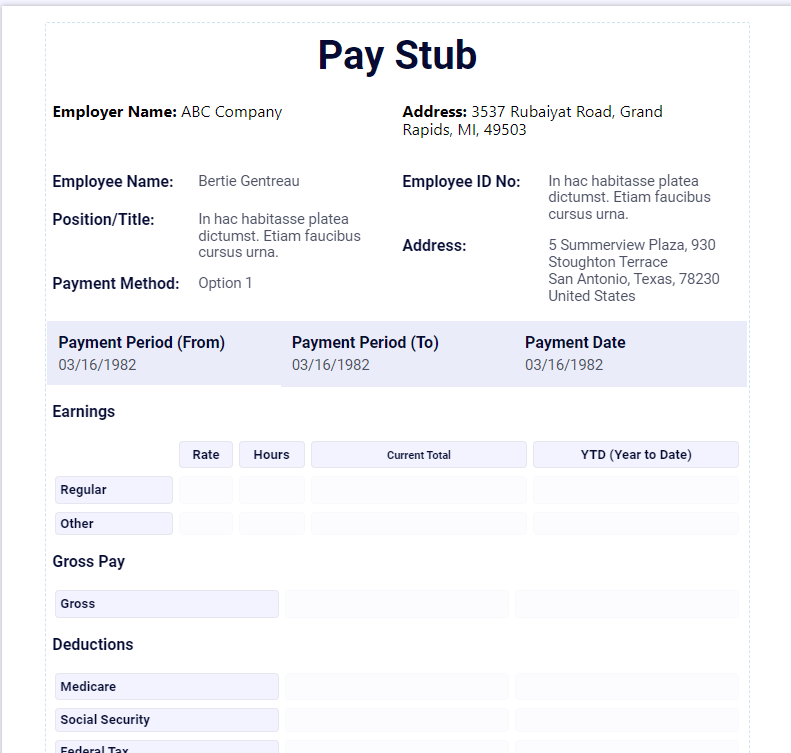 Paystub Paystub