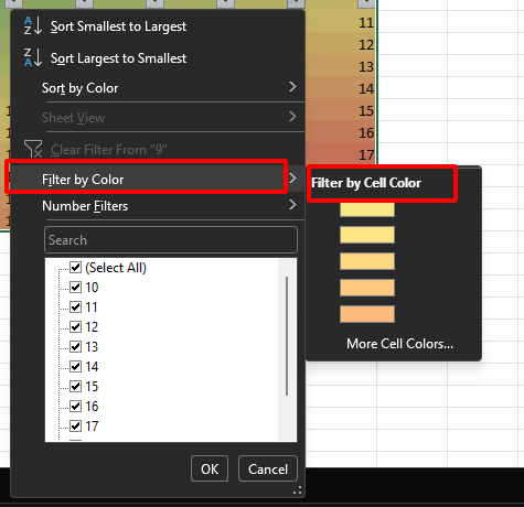  Filer by cells color
